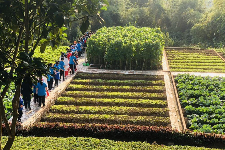 Khu vườn tăng gia của các chú bộ đội