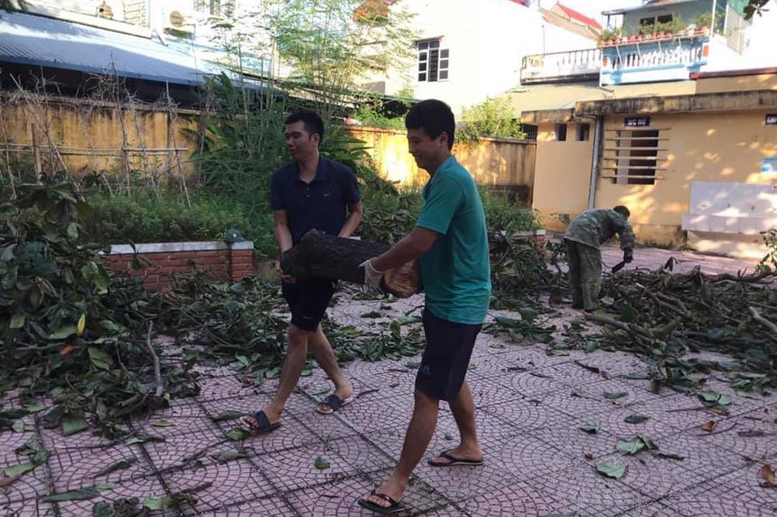 Những cây gỗ lớn đã được các thầy cô chung tay cắt tỉa, dọn dẹp, đảm bảo an toàn cho các em học sinh