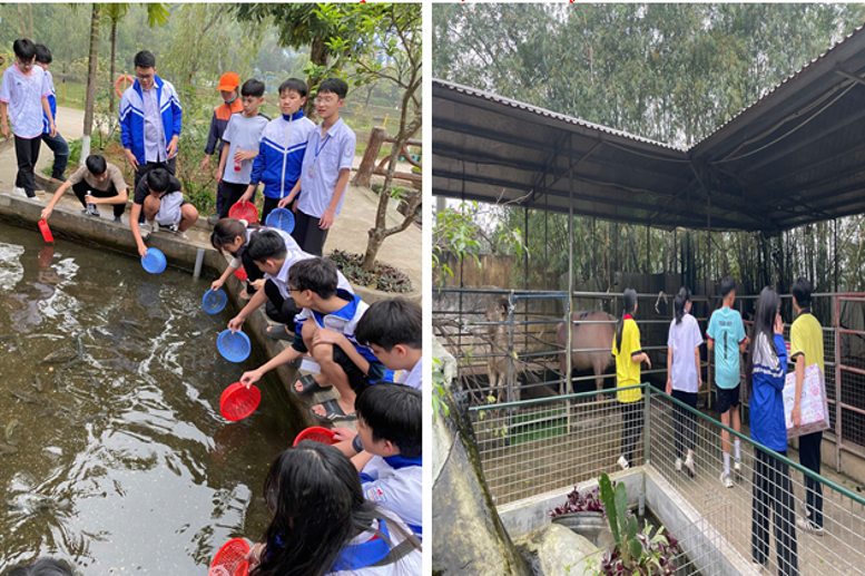 Trải nghiệm bắt cá và thăm khu chăn nuôi của trang trại