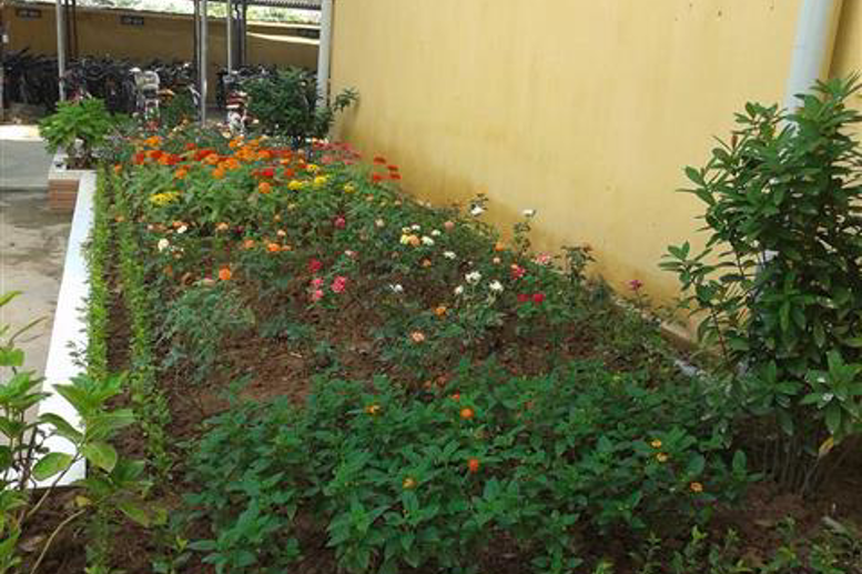 Vườn hoa đa sắc..