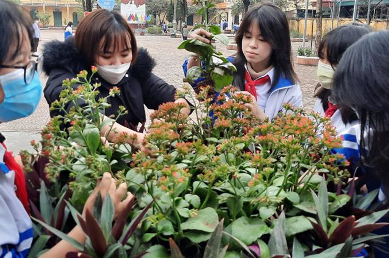 Cô trò cùng trồng và chăm sóc bồn hoa mới